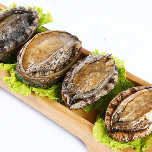 鮑魚(yú)