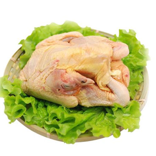 清遠(yuǎn)雞